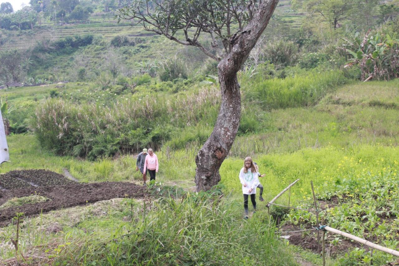 Family Guest House Moni Kelimutu Bagian luar foto