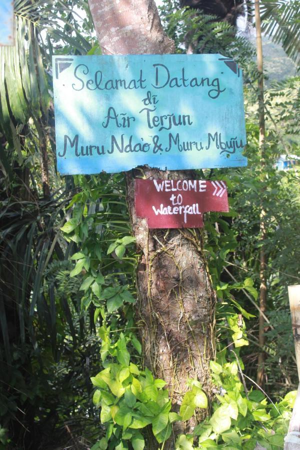 Family Guest House Moni Kelimutu Bagian luar foto